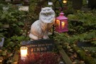 A Roma un cimitero per gli animali domestici