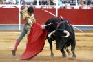 Barcellona apre la strada all’abolizione della Corrida