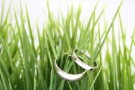 Il matrimonio si fa ecologico e punta al risparmio