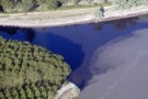 Disastro del fiume Lambro: gli ecosistemi del Po a rischio