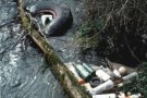 Reati abientali: a Vibo Valentia un numero verde gratuito per denunciare anonimamente