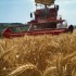 Agricoltura italiana in pericolo: l’allarme di Slow Food