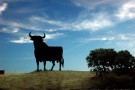 Il deputato del Pdl Enzo Raisi difende la corrida spagnola