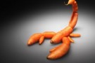Ogm: sempre meno Paesi europei li coltivano. E l’Italia che fa?