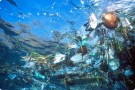 Un’isola di rifiuti di plastica nell’Oceano Atlantico