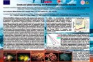 Cambiamenti climatici: al via CoralWarm, uno studio italo-israeliano sui coralli