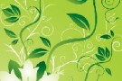 Flower Film Festival: dal 16 al 18 luglio un concorso di cinema dedicato all’ambiente
