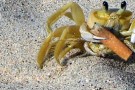 Ma il mare non vale una cicca? Parte la campagna contro i mozziconi in spiaggia