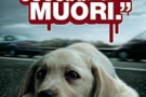 Abbandono degli animali: dal 13 agosto nuove regole