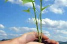 La green economy sfida la crisi: mille aziende a PromoVerde