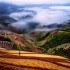 Riscaldamento globale: la Cina a rischio carestia