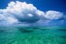 Allarme clima: gli oceani si stanno acidificando a causa della Co2