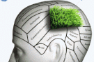 Ecoimagination challenge: il concorso di General Electric per progetti d’impresa green