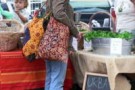 Shopper di plastica al bando: ecco come saranno i sacchetti amici dell’ambiente