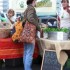 Shopper di plastica al bando: ecco come saranno i sacchetti amici dell’ambiente