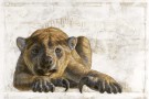 Megafauna australiana