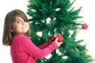 Alberi di Natale: a Roma al via la raccolta gratuita da Ama
