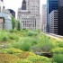 Metropoli verdi, un sogno possibile