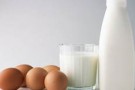 Uova alla diossina: dopo Olanda e Germania ora anche la Gran Bretagna
