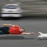 Addestramento del cucciolo di cane -parte terza-