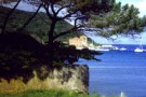 Il Parco Archeologico di Baratti e Populonia -parte quinta-