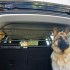 Viaggiare con il cane -parte seconda-