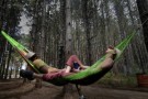 Cameron cambia idea: salva la foresta di Sherwood