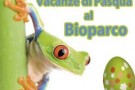 E’ nato prima l’uovo o la gallina?