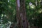 Parco Nazionale del Circeo, le zone umide