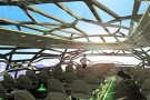 L’aereo del futuro ispirato alla natura: il Concept Cabin di Airbus