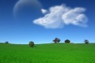 Politiche agricole più sostenibili dal 2013