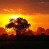 Riscaldamento globale: cambiamenti climatici ed estati caldissime