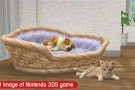 Nintendogs+cats, il gioco che educa i padroni degli animali