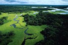 L’Amazzonia sarà protetta per legge