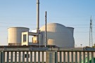 Fukushima: stop alle vendite di riso radioattivo
