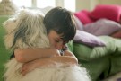 Quando il cane è troppo coccolato… si deprime