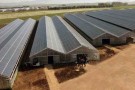 In Sardegna arriva la serra fotovoltaica da record