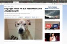 Un cane cavia dei combattimenti clandestini